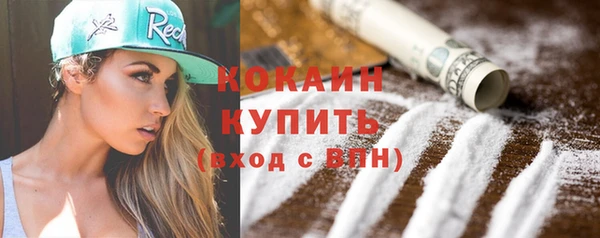 крисы Богородицк