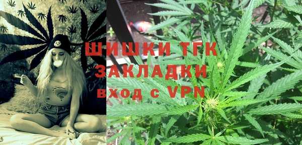крисы Богородицк