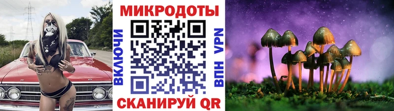 Псилоцибиновые грибы прущие грибы  Верхний Уфалей 