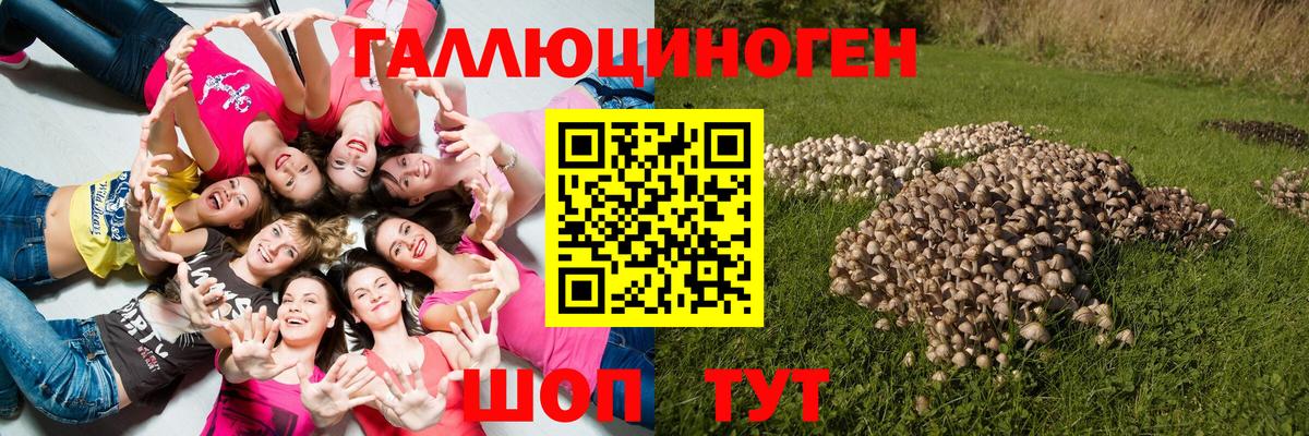 Псилоцибиновые грибы Cubensis  цена   Верхний Уфалей  Псилоцибиновые грибы Magic Shrooms 