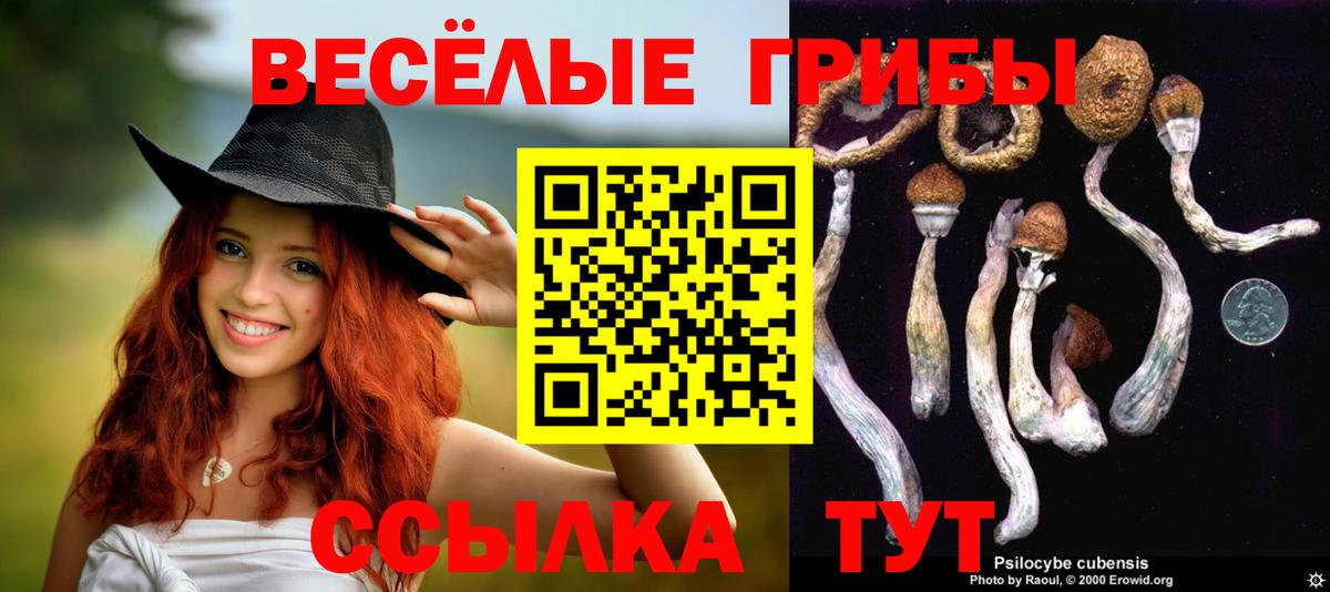 Псилоцибиновые грибы прущие грибы Верхний Уфалей