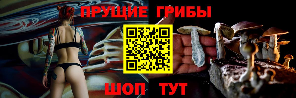 Псилоцибиновые грибы GOLDEN TEACHER Верхний Уфалей