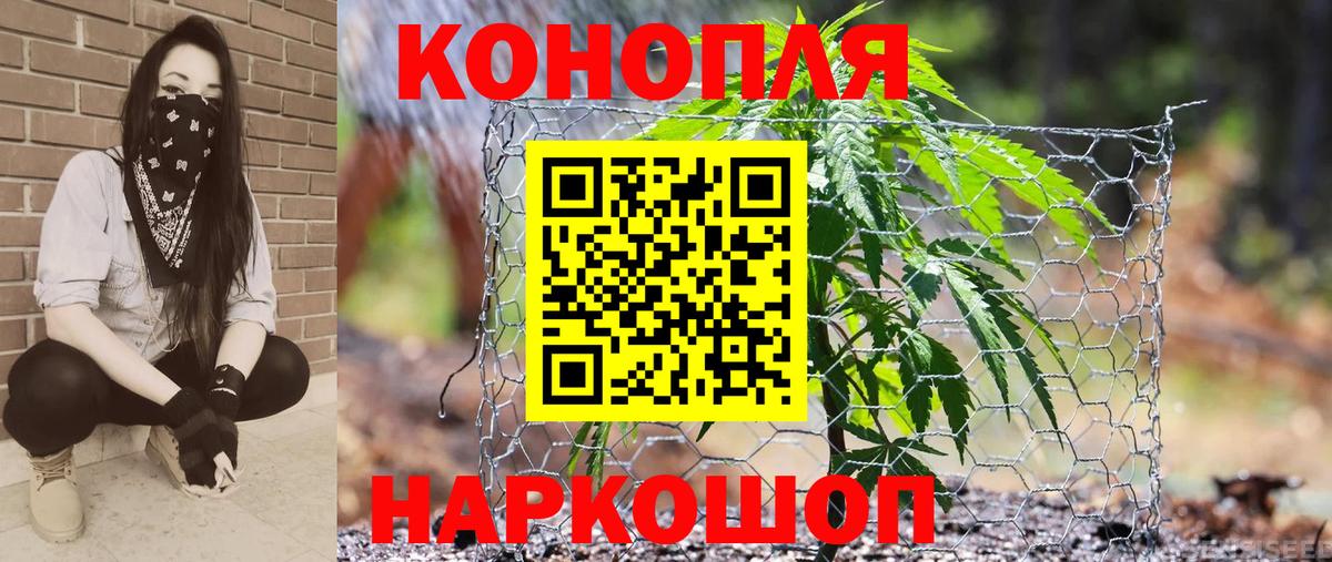 Каннабис план Верхний Уфалей